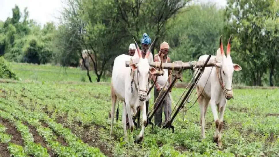 पीएम किसान : अच्छी खबर है! 28 जनवरी का दिन लाखों किसानों के लिए जरूरी है, सरकार ने यह आदेश जारी किया है