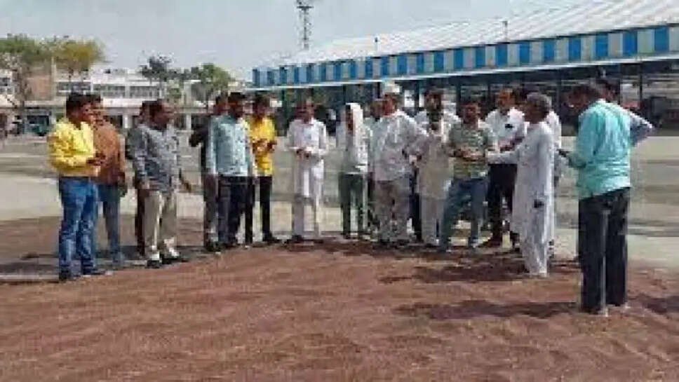 आज से शुरू होनी थी सरसों की सार्वजनिक खरीद, जानिए कहां हुआ आदेश का पालन और कहां किसान हुए मायूस