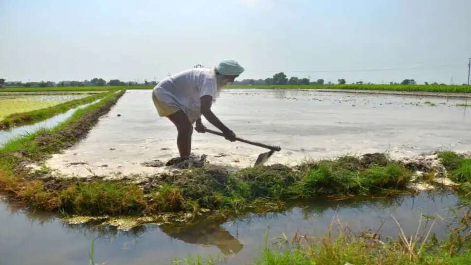 किसानों की आय दोगुनी करने के लिए युद्धस्तर पर काम कर रहे हैं