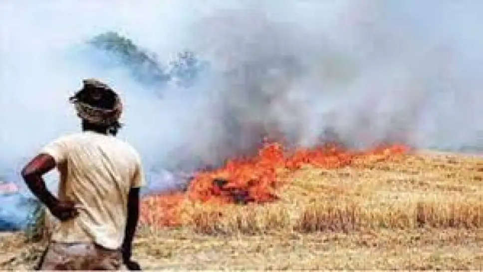 हरियाणा: पराली जलाने पर 331 चालान, 8 लाख 60 हजार रुपये जुर्माना, हॉटस्पॉट पर विशेष निगरानी