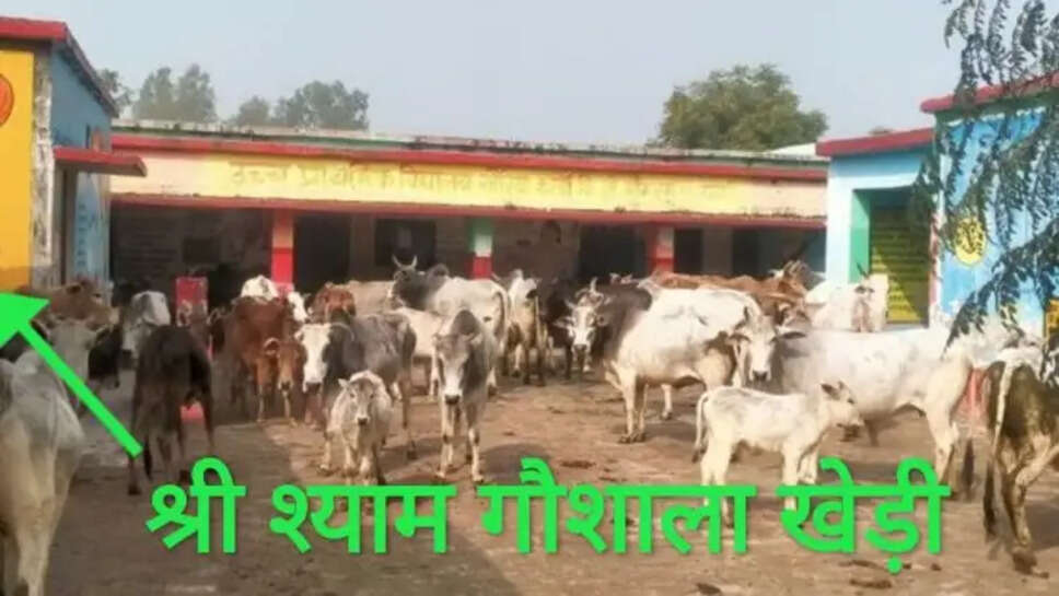 श्री श्याम गौशाला खेड़ी गुसीआना का निर्माण कैसे हुआ पूरी जानकारी देखें