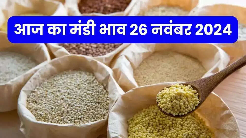 Mandi Bhav Today
