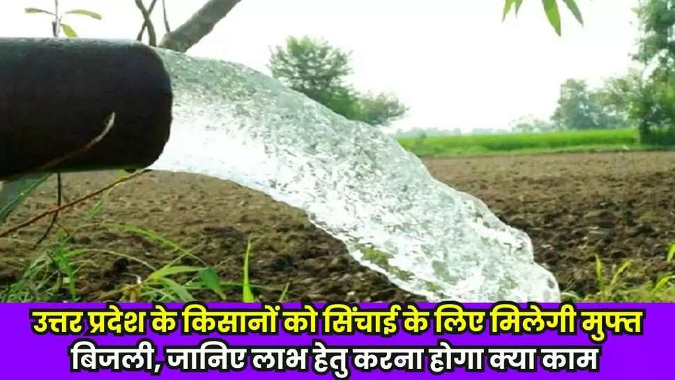 UP Electricity News