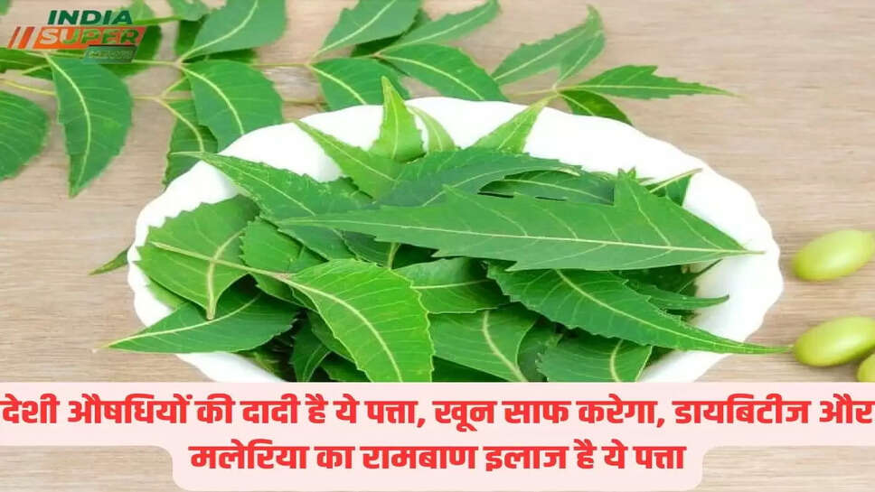 देशी औषधियों की दादी है ये पत्ता, खून साफ ​​करेगा, डायबिटीज और मलेरिया का रामबाण इलाज है ये पत्ता