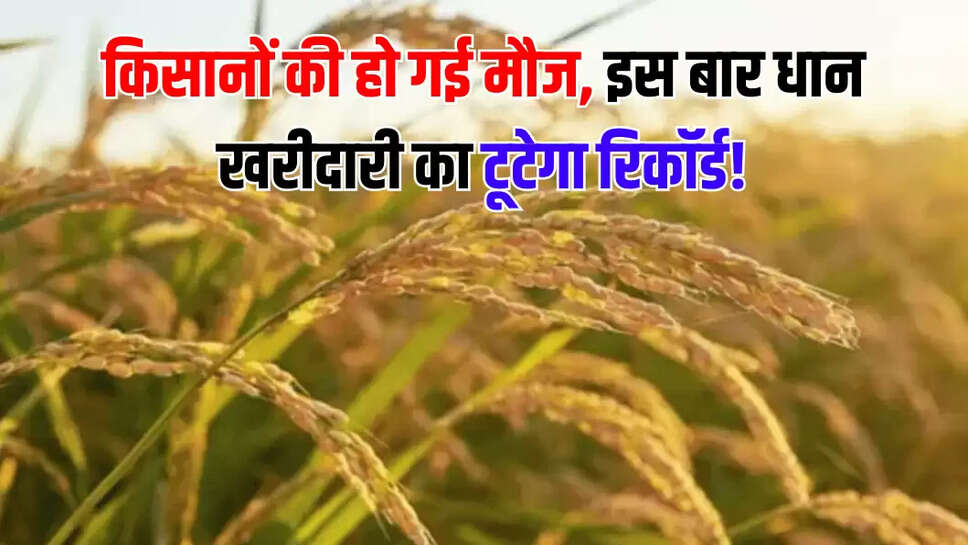 किसानों की हो गई मौज, इस बार धान खरीदारी का टूटेगा रिकॉर्ड!