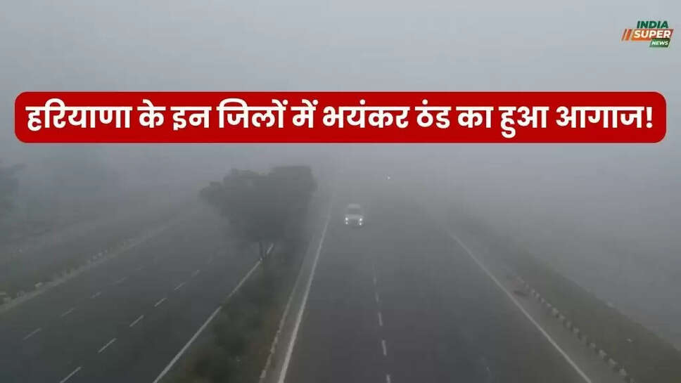 Haryana Weather News