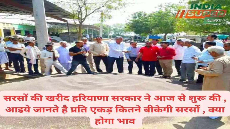 सरसों की खरीद हरियाणा सरकार ने आज से शुरू की , आइये जानते है प्रति एकड़  कितने बीकेगी सरसों , क्या होगा भाव 