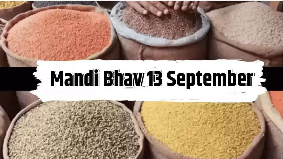 Mandi Bhav 13 September 2024
