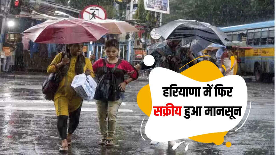 haryana weather update