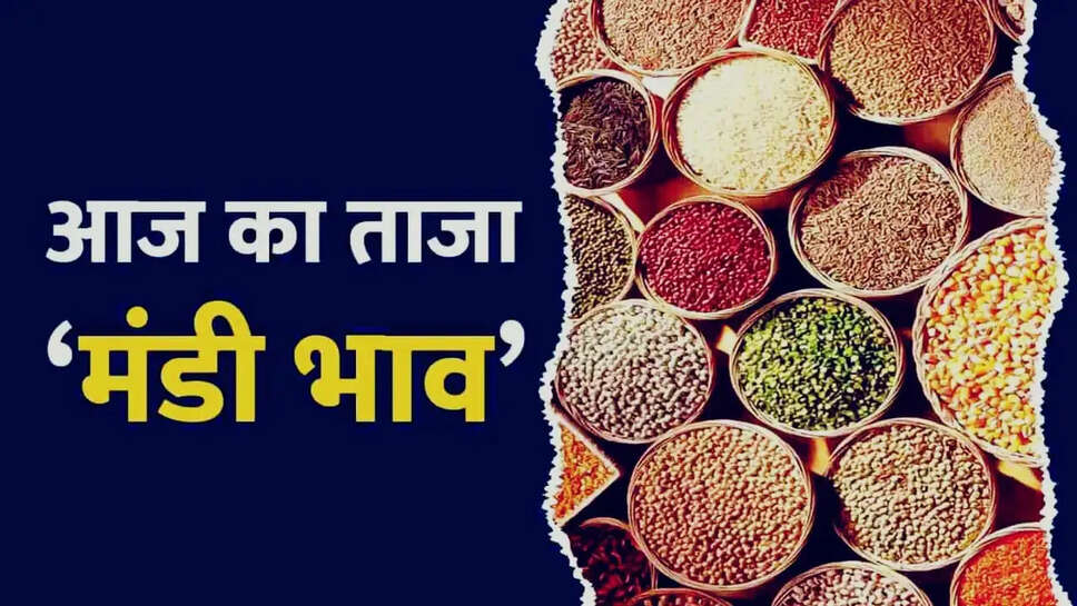mandi bhav