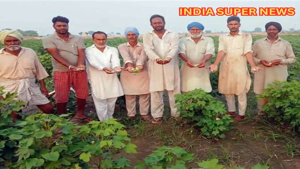 sirsa