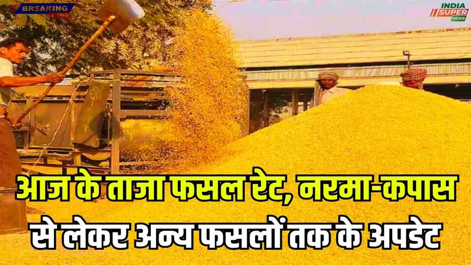 Sirsa Mandi Bhav 2 January: 