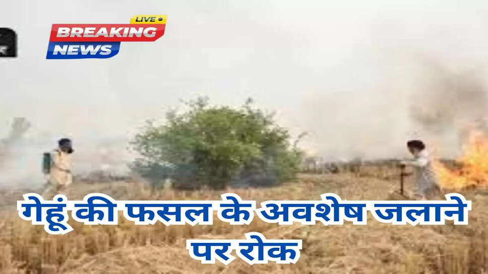 गेहूं की फसल के अवशेष जलाने पर रोक
