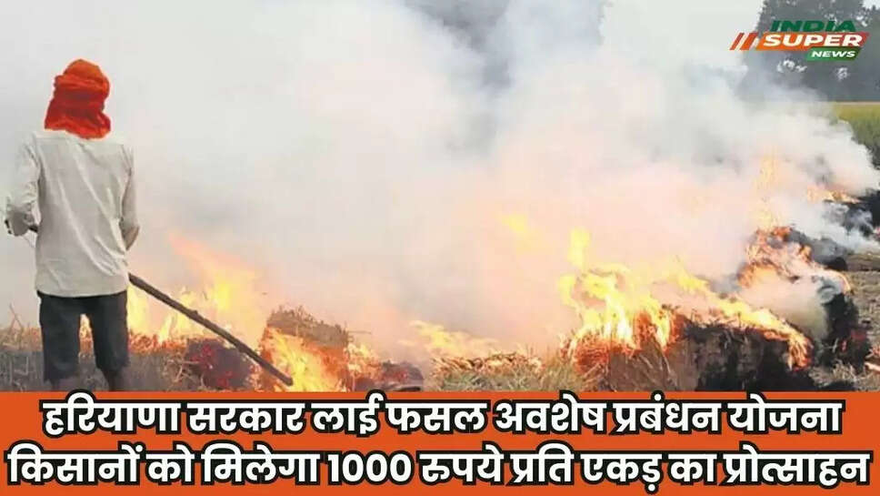 Haryana Parali News