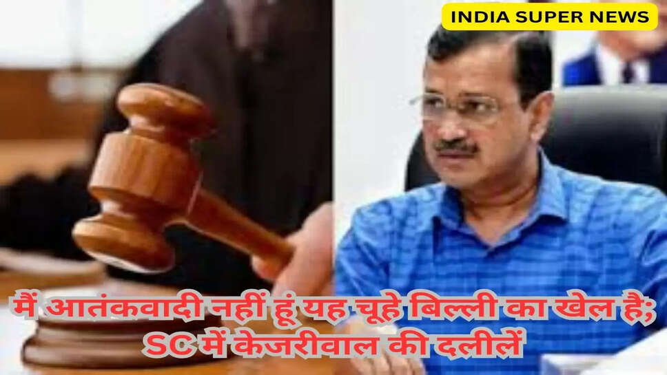 मैं आतंकवादी नहीं हूं यह चूहे बिल्ली का खेल है; SC में केजरीवाल की दलीलें