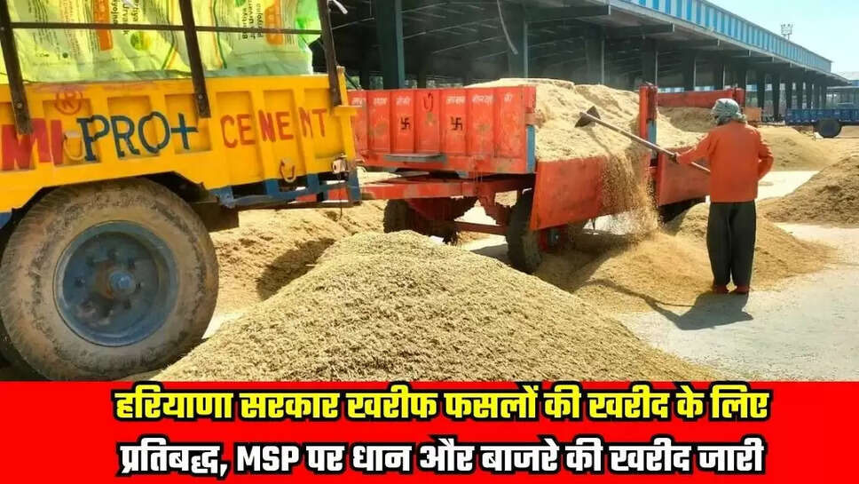 Haryana News