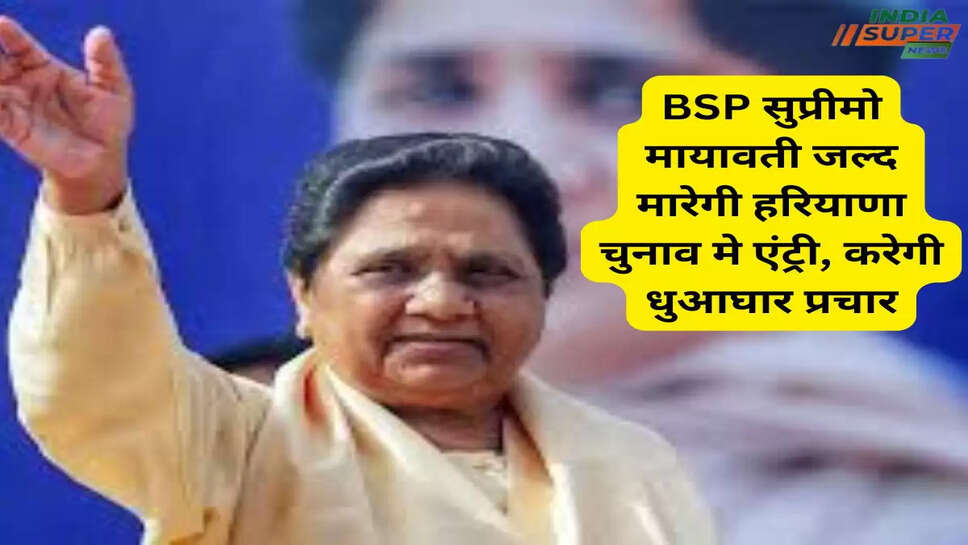Haryana Assembly Elections 2024: 