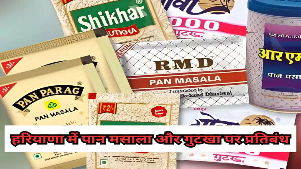हरियाणा में पान मसाला और गुटखा पर प्रतिबंध
