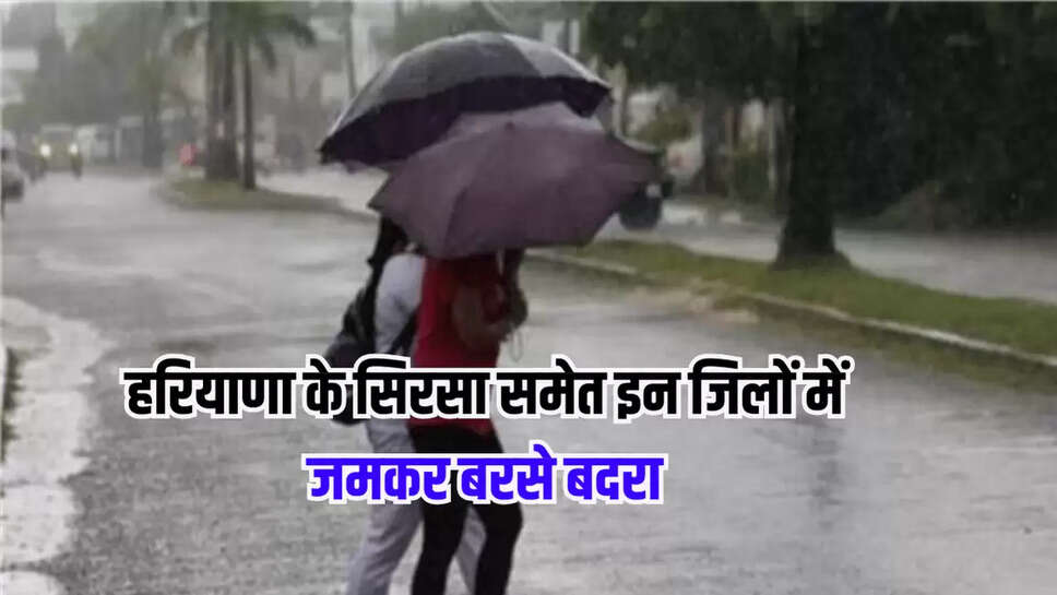 हरियाणा के सिरसा समेत इन जिलों में जमकर बरसे बदरा