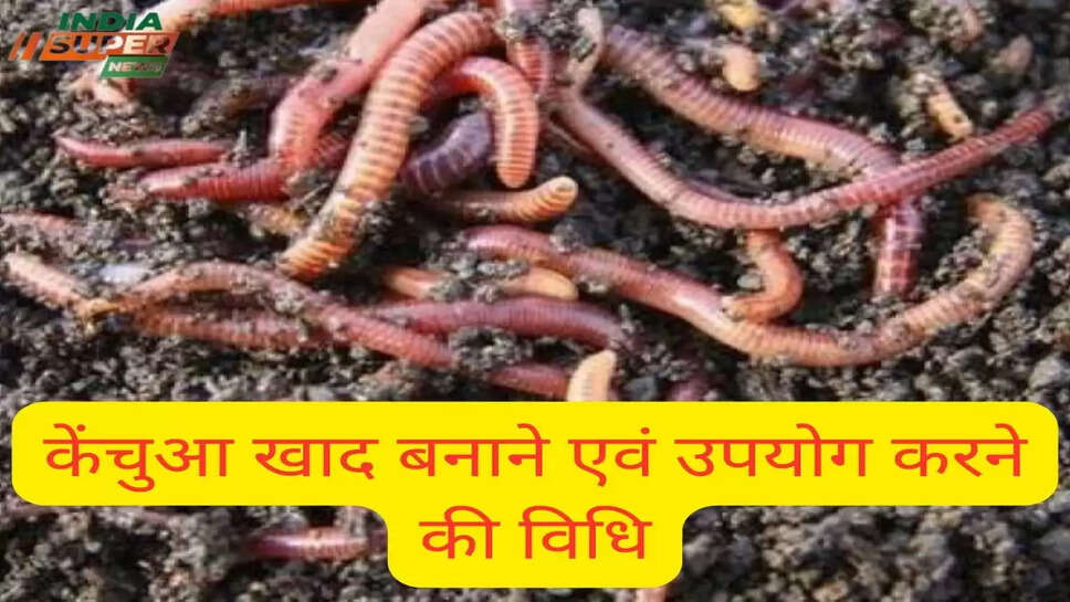 केंचुआ खाद बनाने एवं उपयोग करने की विधि