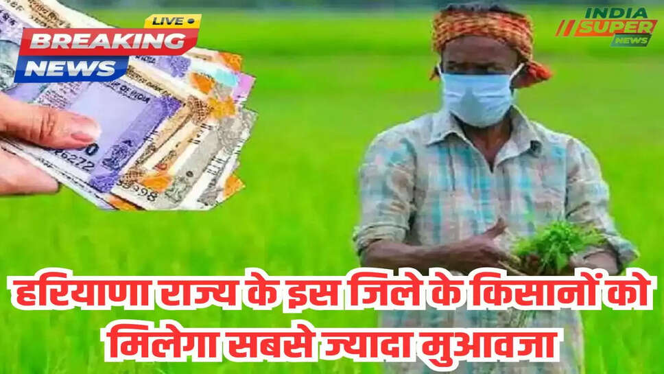 हरियाणा राज्य के इस जिले के किसानों को मिलेगा सबसे ज्यादा मुआवजा