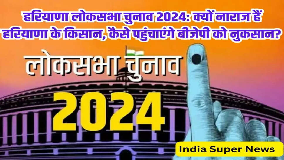 हरियाणा लोकसभा चुनाव 2024: क्यों नाराज हैं हरियाणा के किसान, कैसे पहुंचाएंगे बीजेपी को नुकसान?