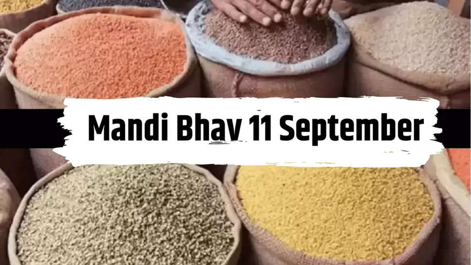 Mandi Bhav 11 September
