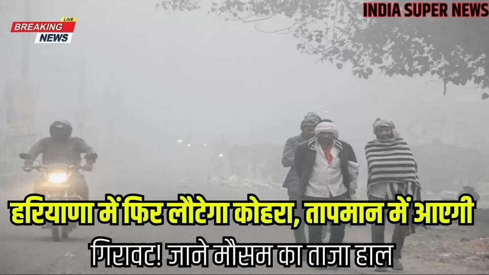 हरियाणा में फिर लौटेगा कोहरा, तापमान में आएगी गिरावट! जाने मौसम का ताजा हाल