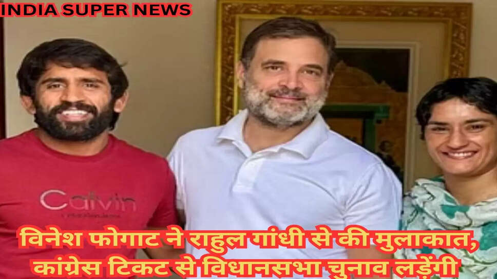 Haryana Election 2024: विनेश फोगाट ने राहुल गांधी से की मुलाकात, कांग्रेस टिकट से विधानसभा चुनाव लड़ेंगी