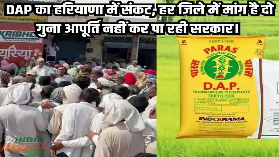 DAP का हरियाणा में संकट, हर जिले में मांग है दो गुना आपूर्ति नहीं कर पा रही सरकार। 1.10 लाख मैट्रिक टन खाद केंद्र सरकार देगी।