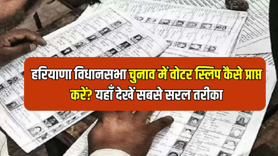हरियाणा विधानसभा चुनाव में वोटर स्लिप कैसे प्राप्त करें? यहाँ देखें सबसे सरल तरीका