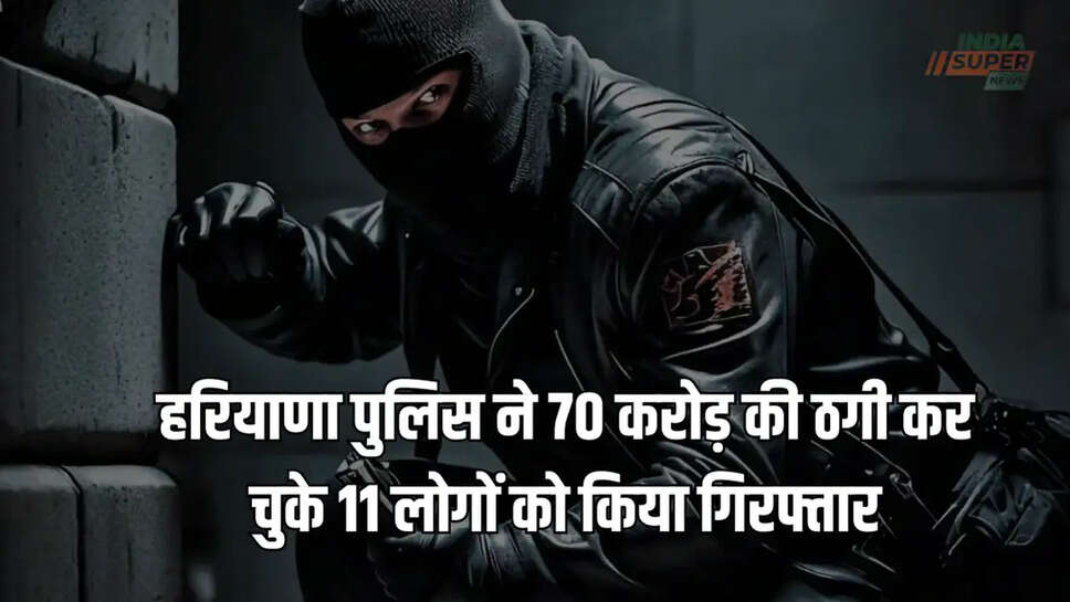 haryana news