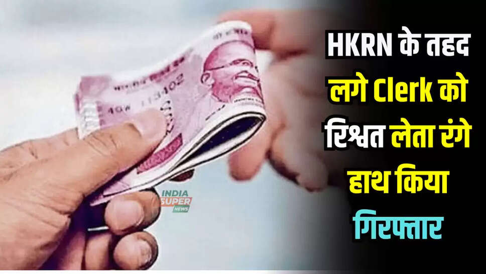 haryana news