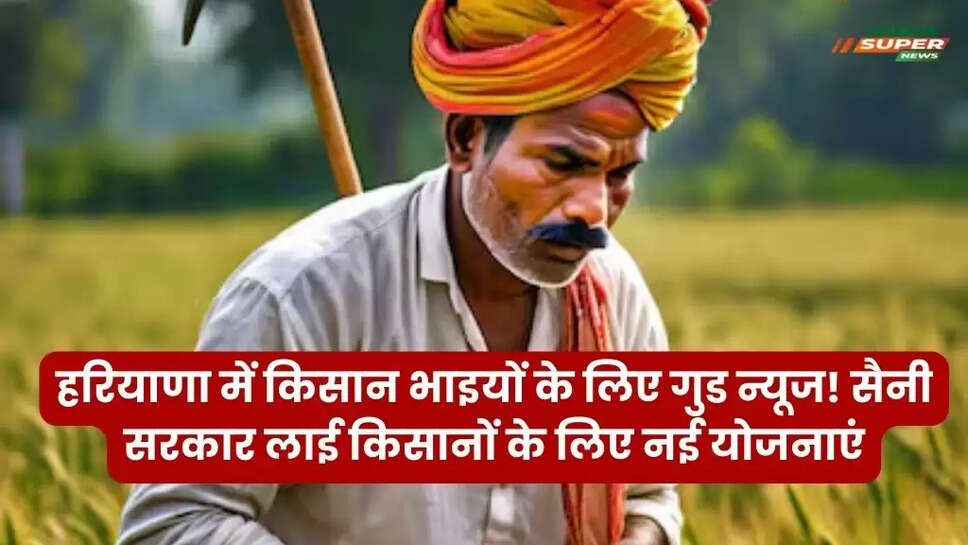 Haryana News