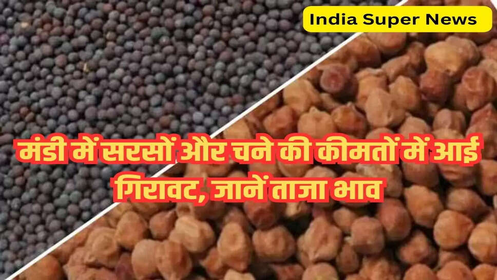 मंडी में सरसों और चने की कीमतों में आई गिरावट, जानें ताजा भाव 