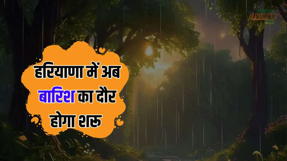 haryana rain alert
