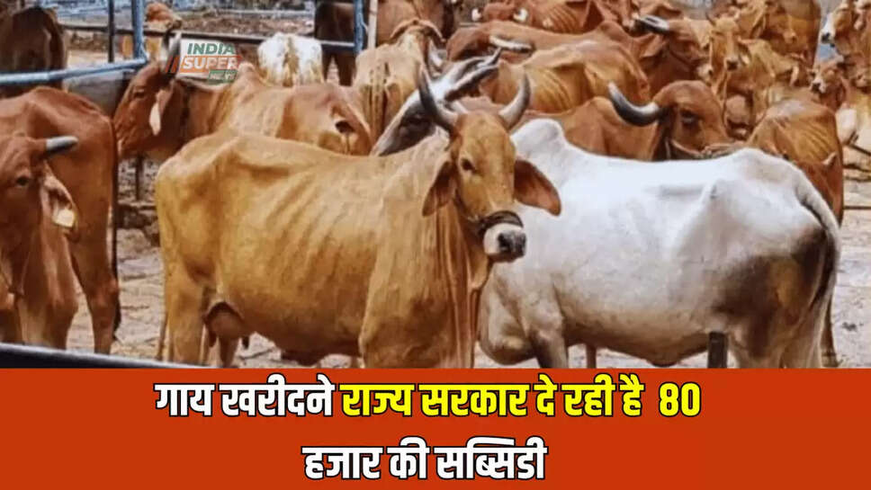 गाय खरीदने राज्य सरकार दे रही है 80 हजार की सब्सिडी