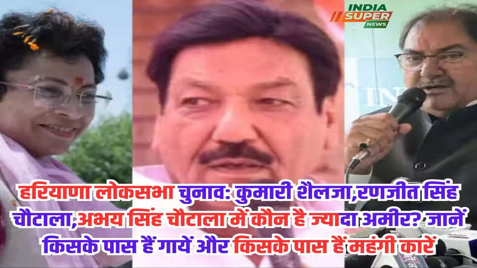 हरियाणा लोकसभा चुनाव: कुमारी शैलजा,रणजीत सिंह चौटाला,अभय सिंह चौटाला में कौन है ज्यादा अमीर? जानें किसके पास हैं गायें और किसके पास हैं महंगी कारें