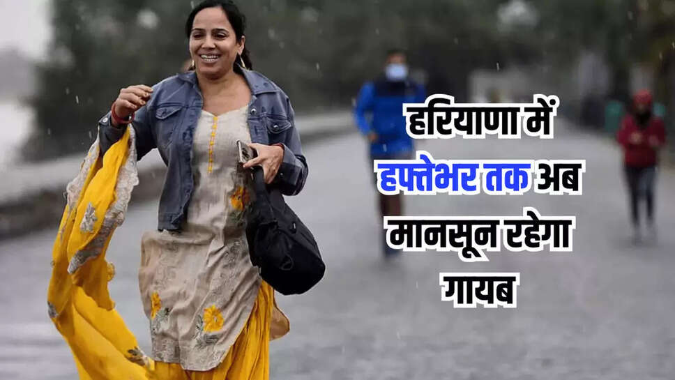 haryana weather update 