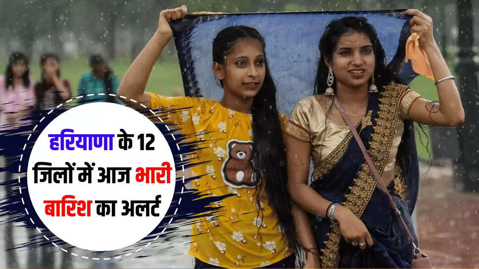 haryana rain alert