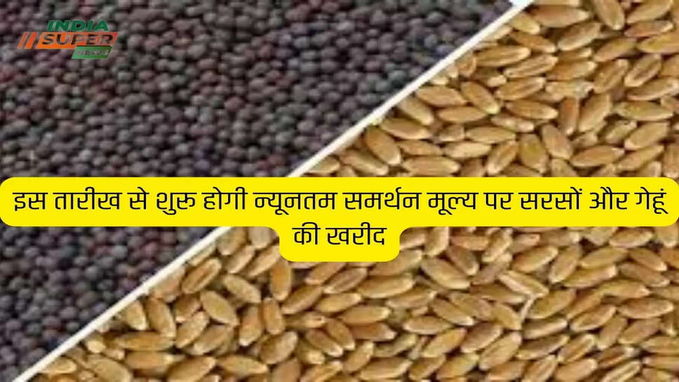 इस तारीख से शुरू होगी न्यूनतम समर्थन मूल्य पर सरसों और गेहूं की खरीद