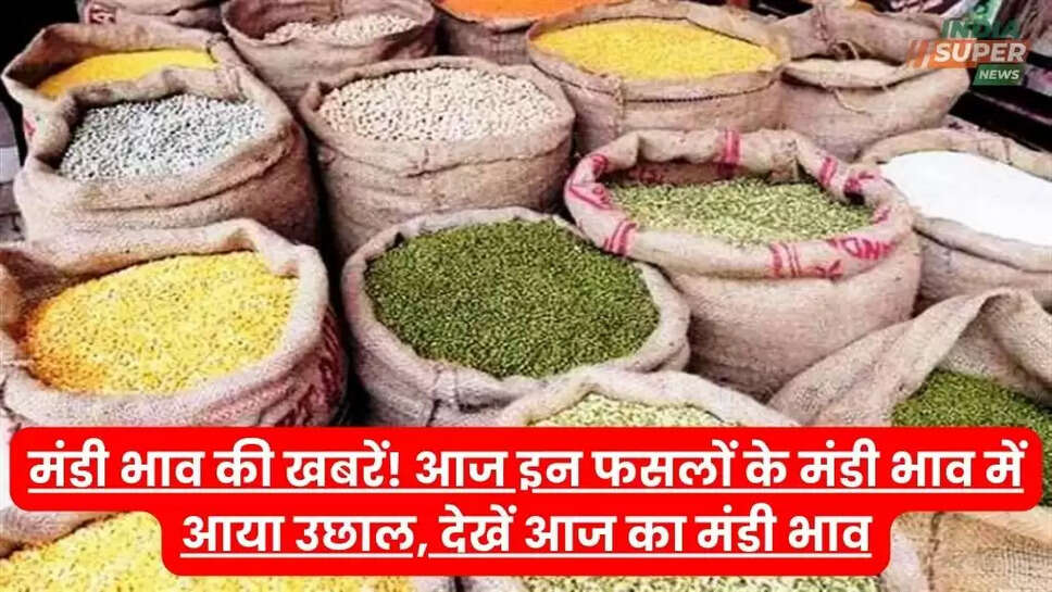 मंडी भाव की खबरें! आज इन फसलों के मंडी भाव में आया उछाल, देखें आज का मंडी भाव