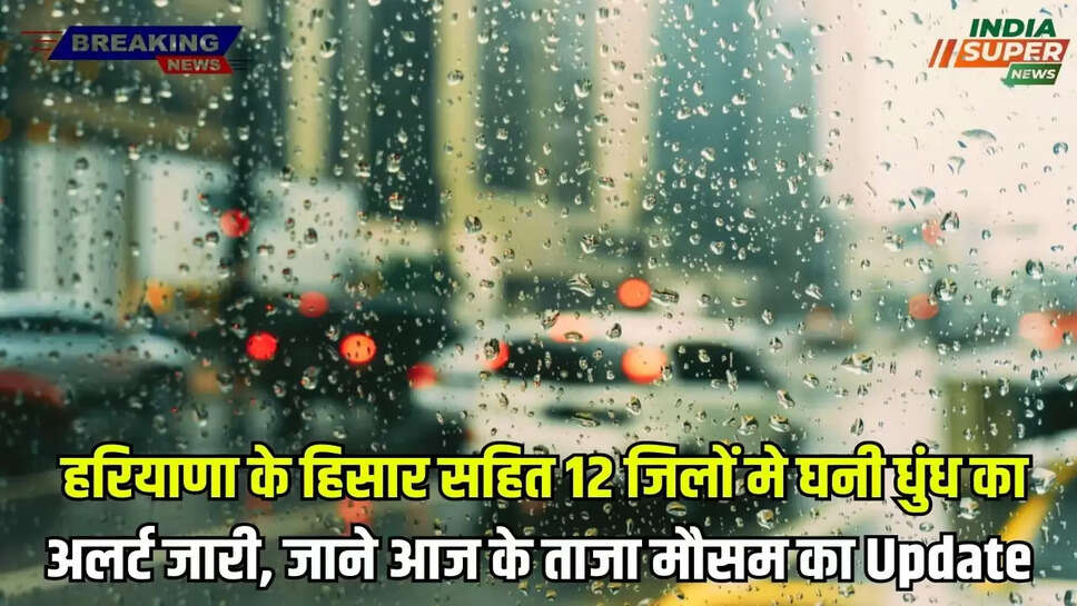 HARYANA WEATHER ALERT TODAY: