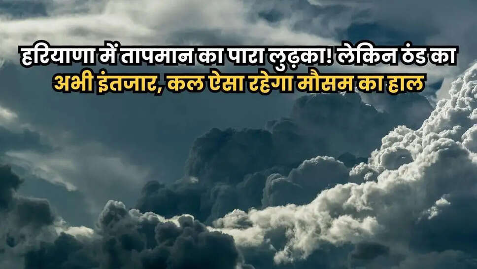 Haryana Weather Update