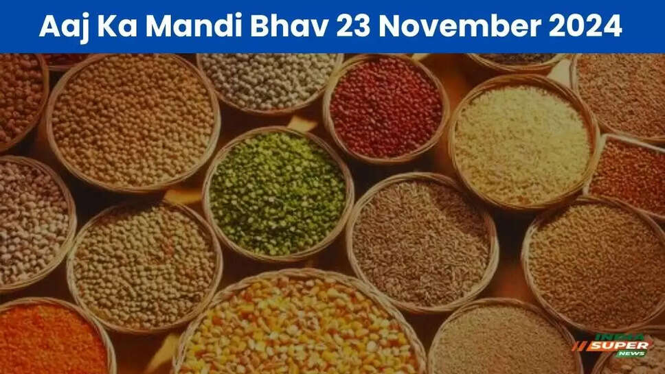 Aaj Ka Mandi Bhav 23 November 2024