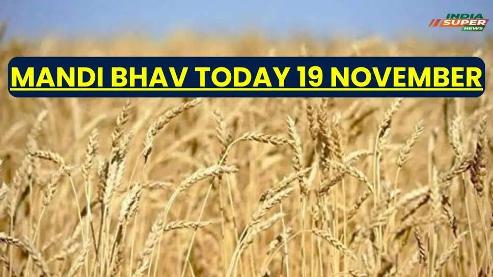 Aaj Ka Mandi Bhav