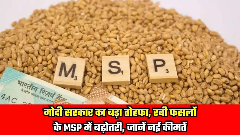 MSP Rate Increase