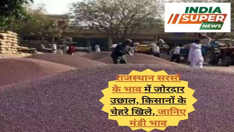 राजस्थान सरसों के भाव में जोरदार उछाल, किसानों के चेहरे खिले, जानिए मंडी भाव