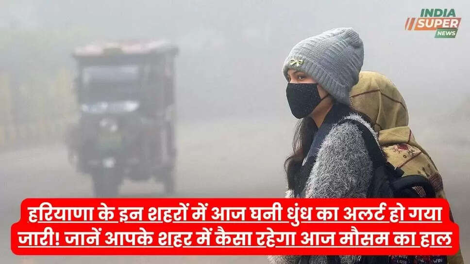 हरियाणा के इन शहरों में आज घनी धुंध का अलर्ट हो गया जारी! जानें आपके शहर में कैसा रहेगा आज मौसम का हाल