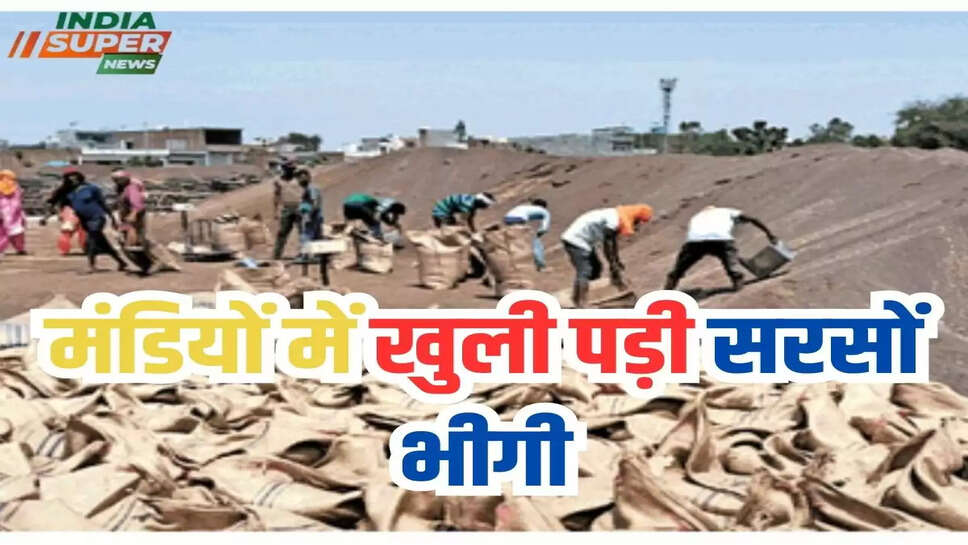 मंडियों में खुली पड़ी सरसों भीगी